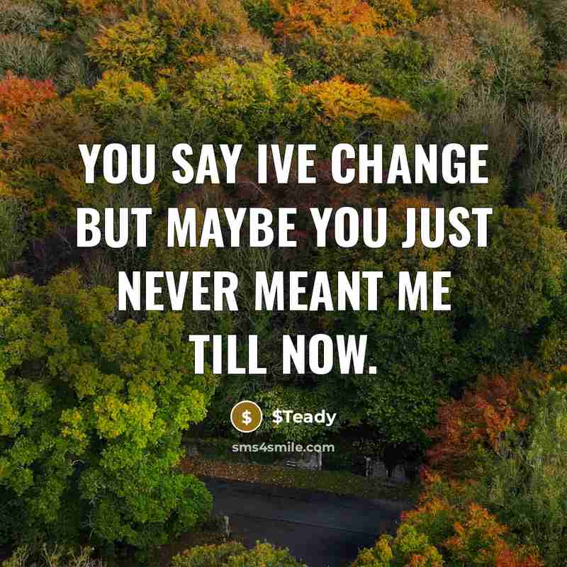 “You say ive change but maybe you just never meant…” quote by $Teady