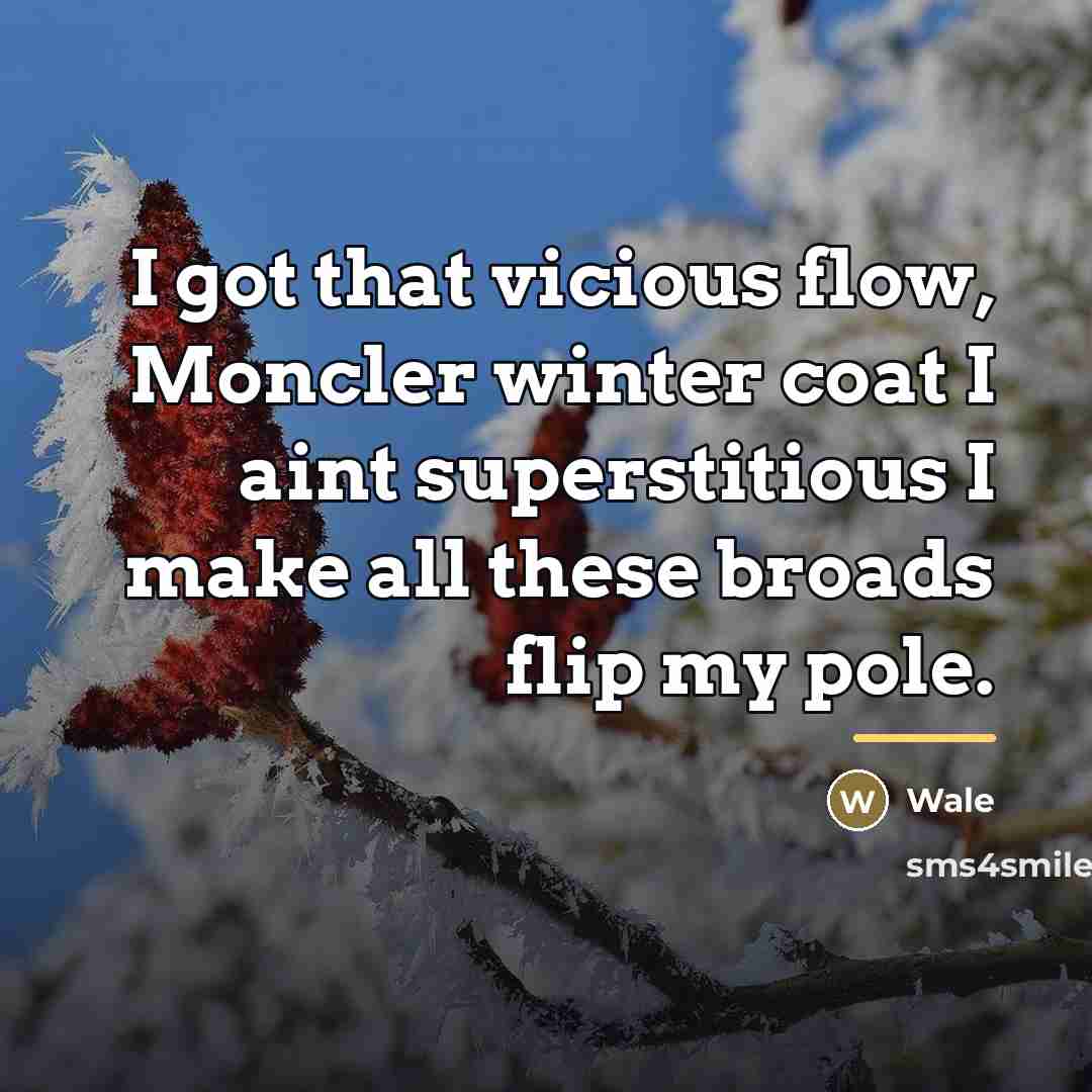 “I got that vicious flow, Moncler winter coat I aint…” quote by Wale