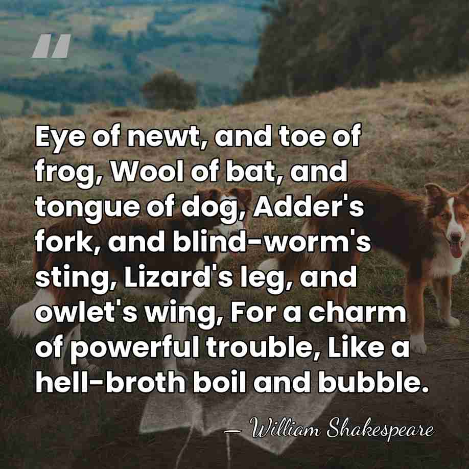 Eye of newt, and toe of frog, Wool of bat, and tongue&hellip; - William Shakespeare