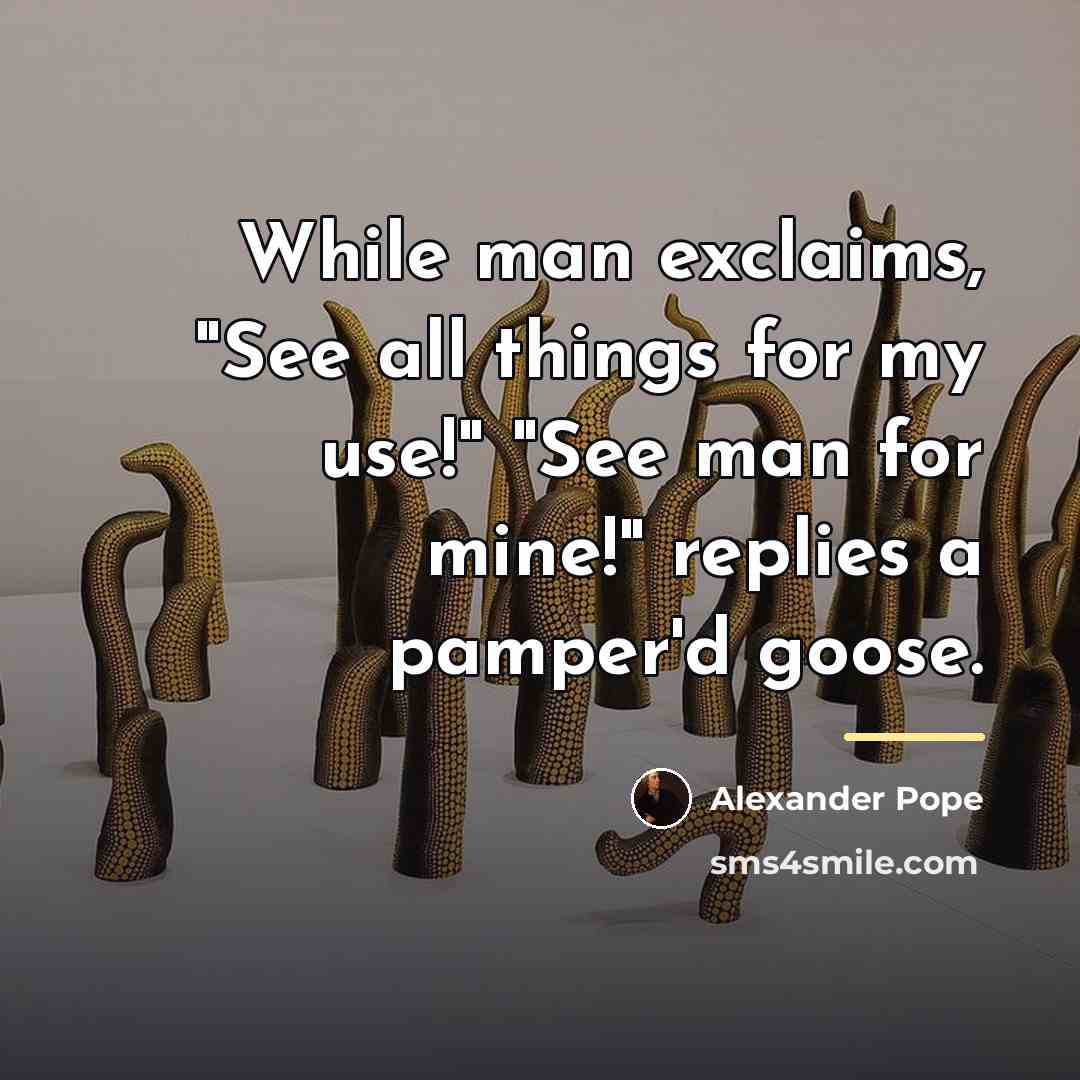 “While man exclaims, "See all things for my use!" "See…” quote by Alexander Pope