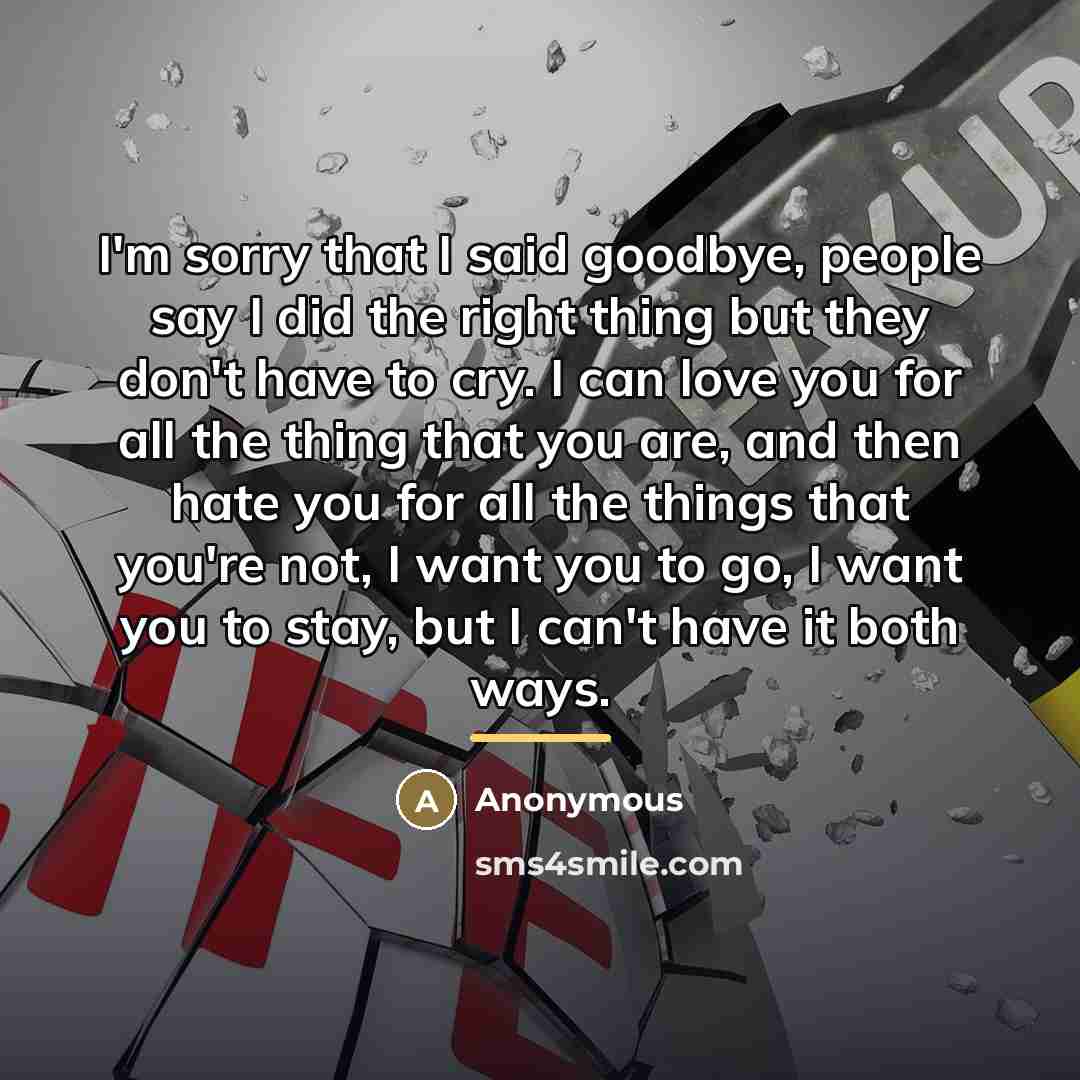 “I'm sorry that I said goodbye, people say I did…” quote by Anonymous