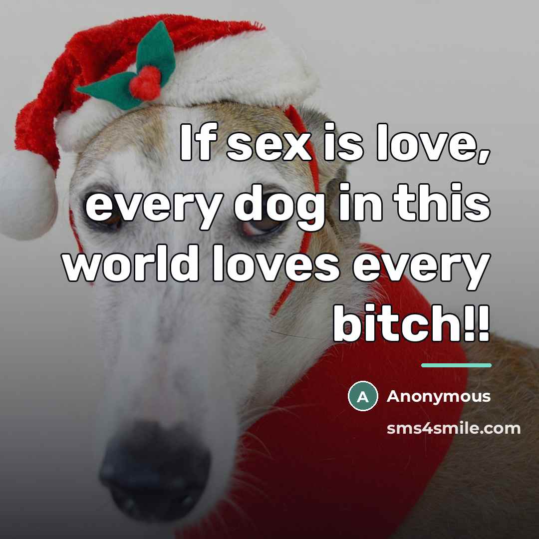 “If sex is love, every dog in this world loves…” quote by Anonymous
