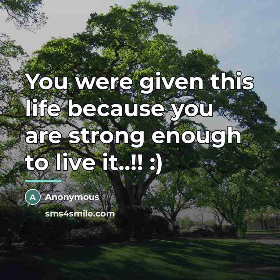 “You were given this life because you are strong enough…” quote by Anonymous