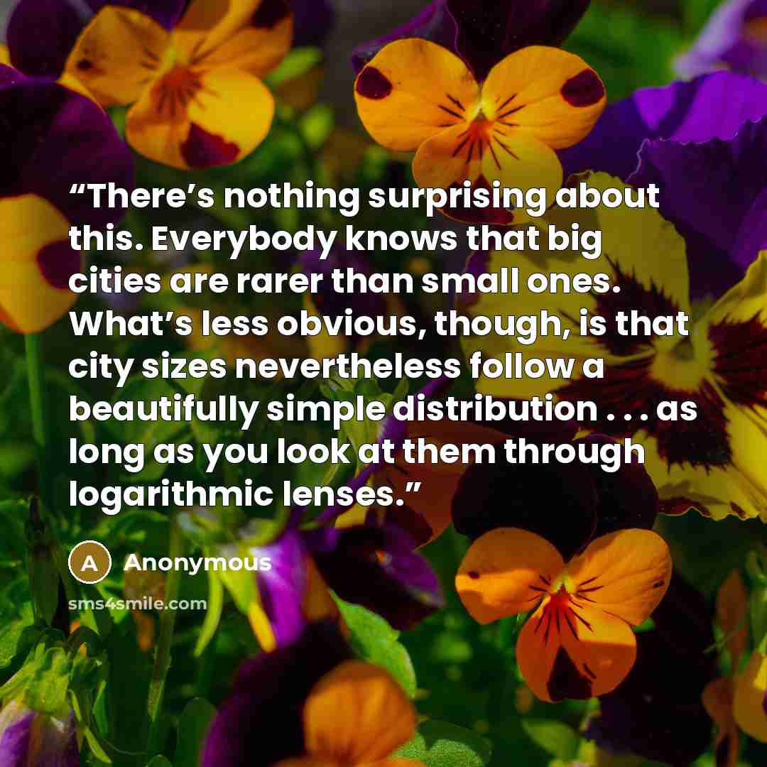 “There’s nothing surprising about this. Everybody knows that big cities are rarer than small ones. What’s less obvious, though, is that city sizes nevertheless follow a beautifully simple distribution . . . as long as you look at them through logarithmic lenses.” quote by Anonymous