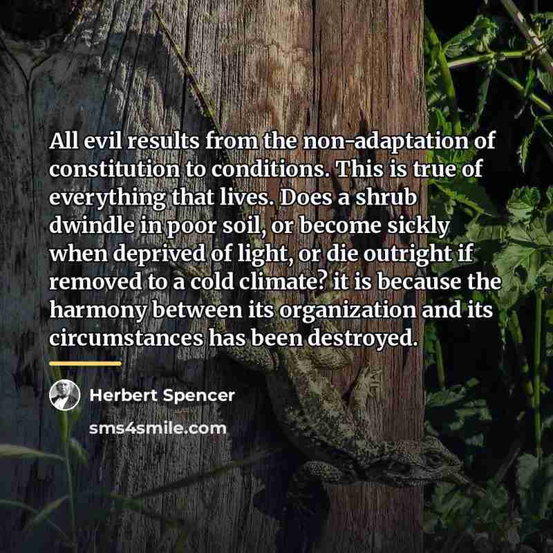 “All evil results from the non-adaptation of constitution to conditions.…” quote by Herbert Spencer