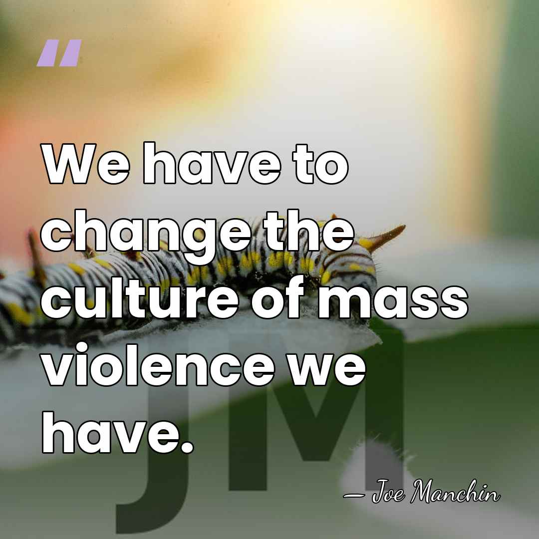 We have to change the culture of mass violence we have. - Joe Manchin