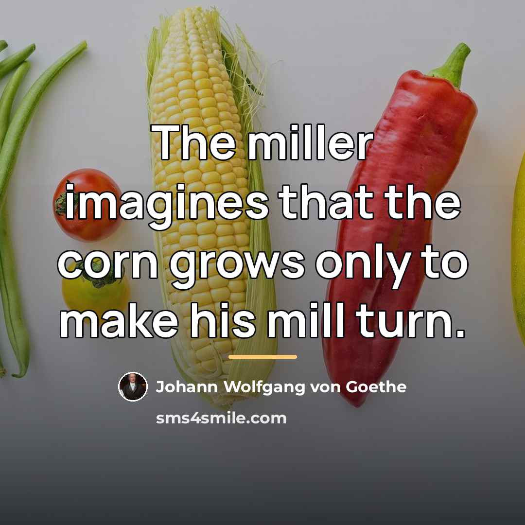 “The miller imagines that the corn grows only to make…” quote by Johann Wolfgang von Goethe