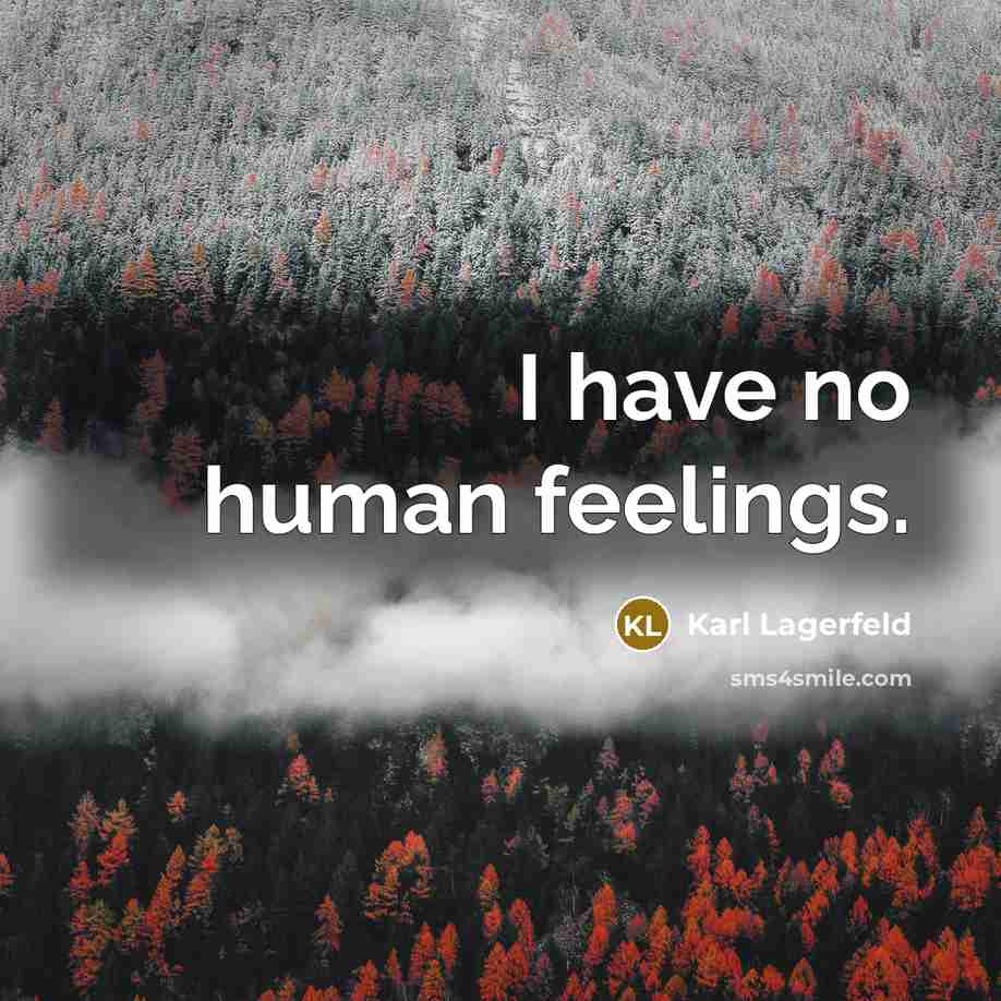“I have no human feelings.…” quote by Karl Lagerfeld