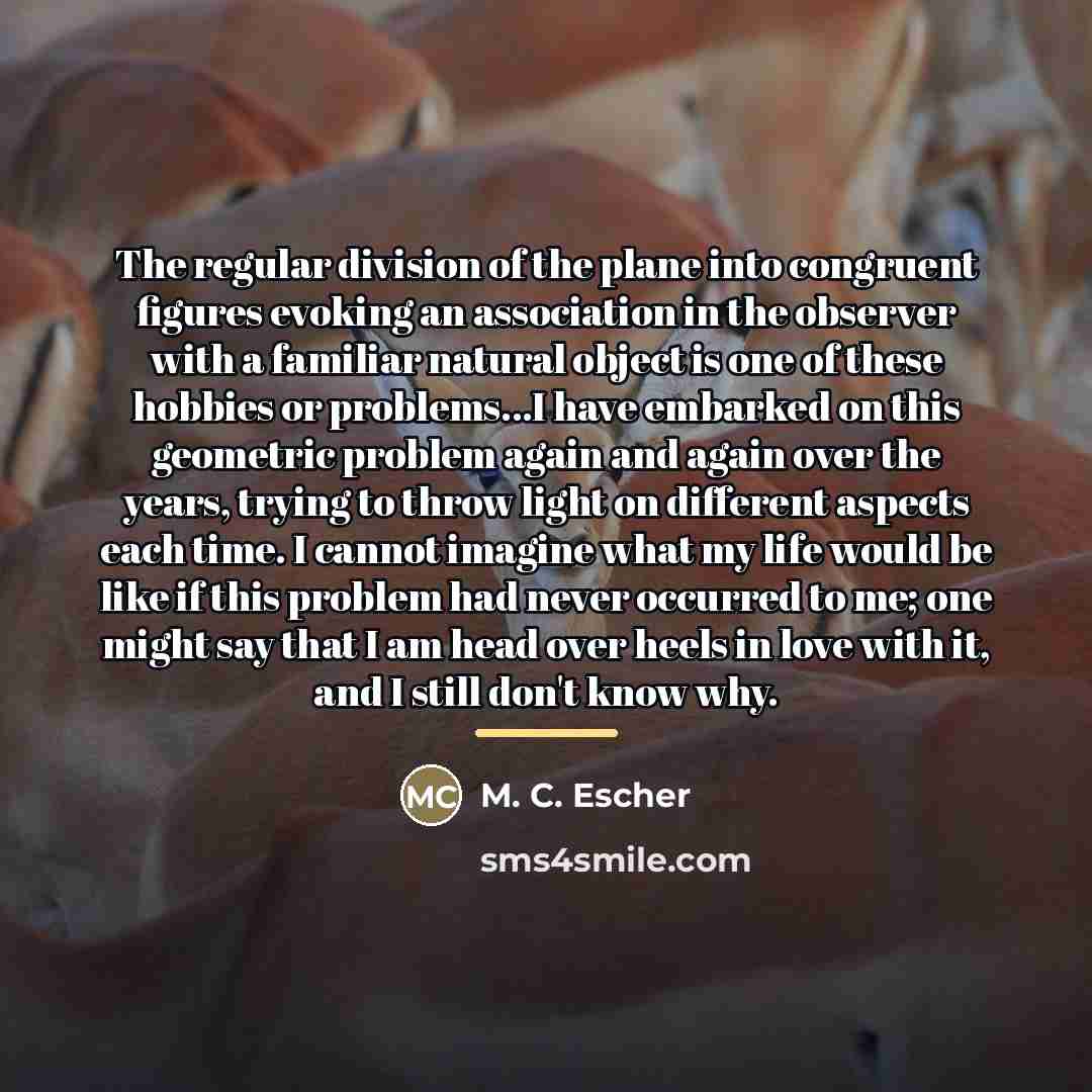 “The regular division of the plane into congruent figures evoking…” quote by M. C. Escher