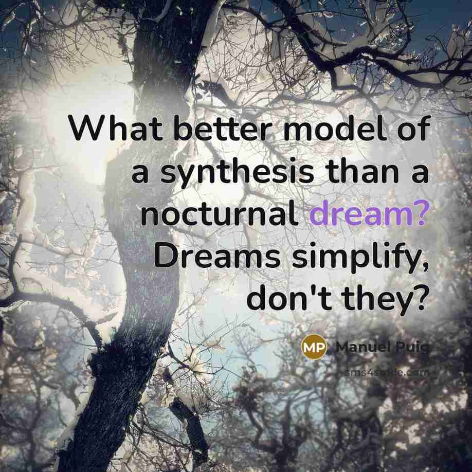 “What better model of a synthesis than a nocturnal dream?…” quote by Manuel Puig