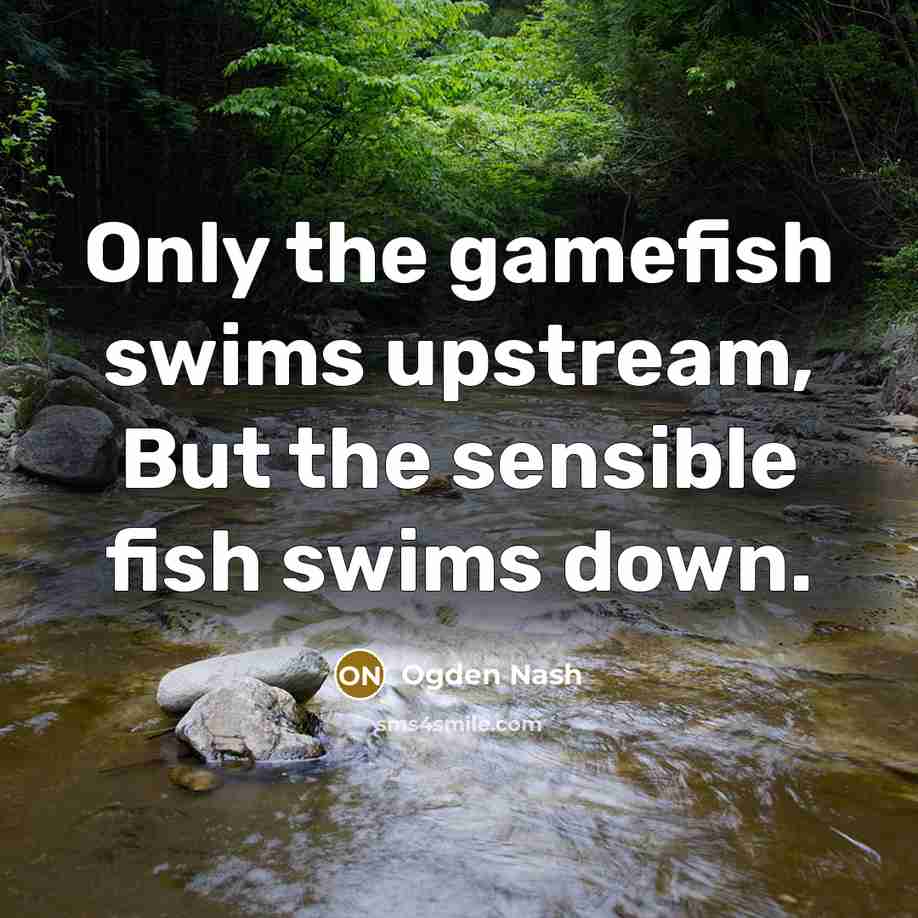 “Only the gamefish swims upstream, But the sensible fish swims down.” quote by Ogden Nash
