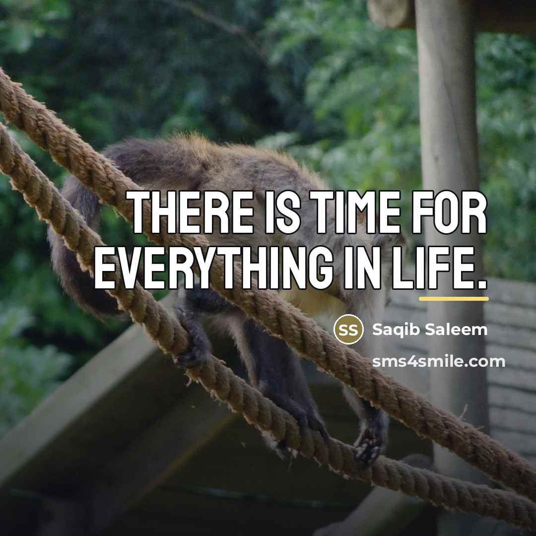 “There is time for everything in life.…” quote by Saqib Saleem