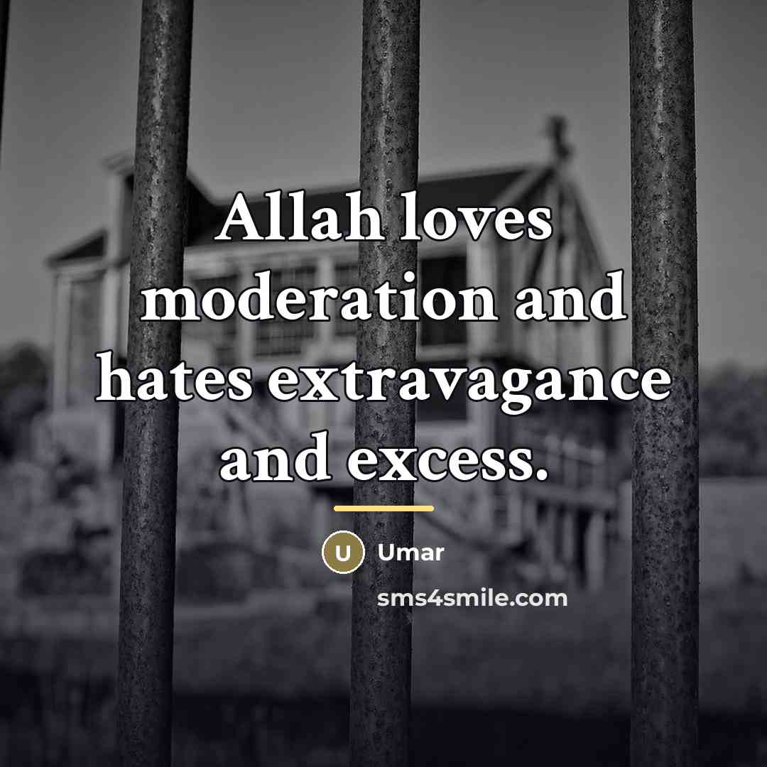“Allah loves moderation and hates extravagance and excess.…” quote by Umar