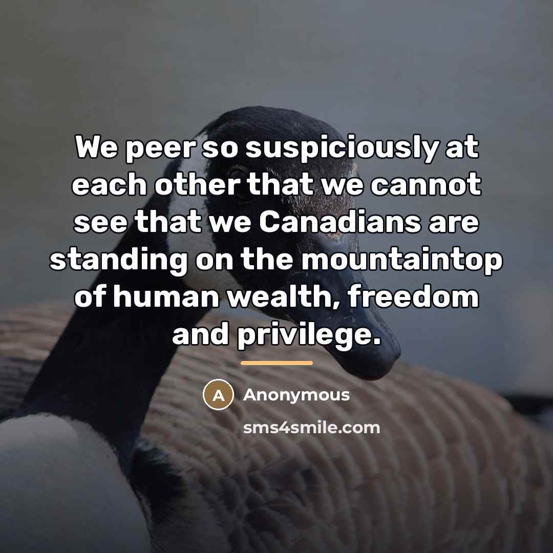 “We peer so suspiciously at each other that we cannot…” quote by Anonymous