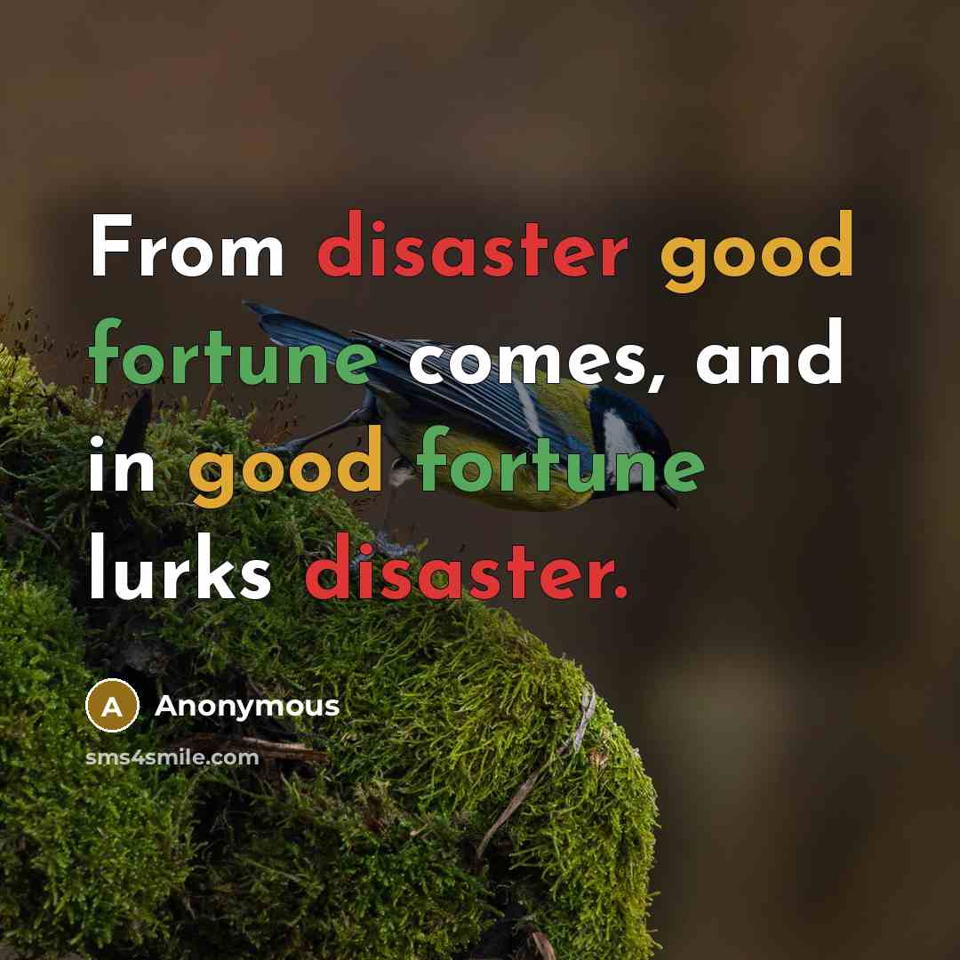 “From disaster good fortune comes, and in good fortune lurks disaster.” quote by Anonymous