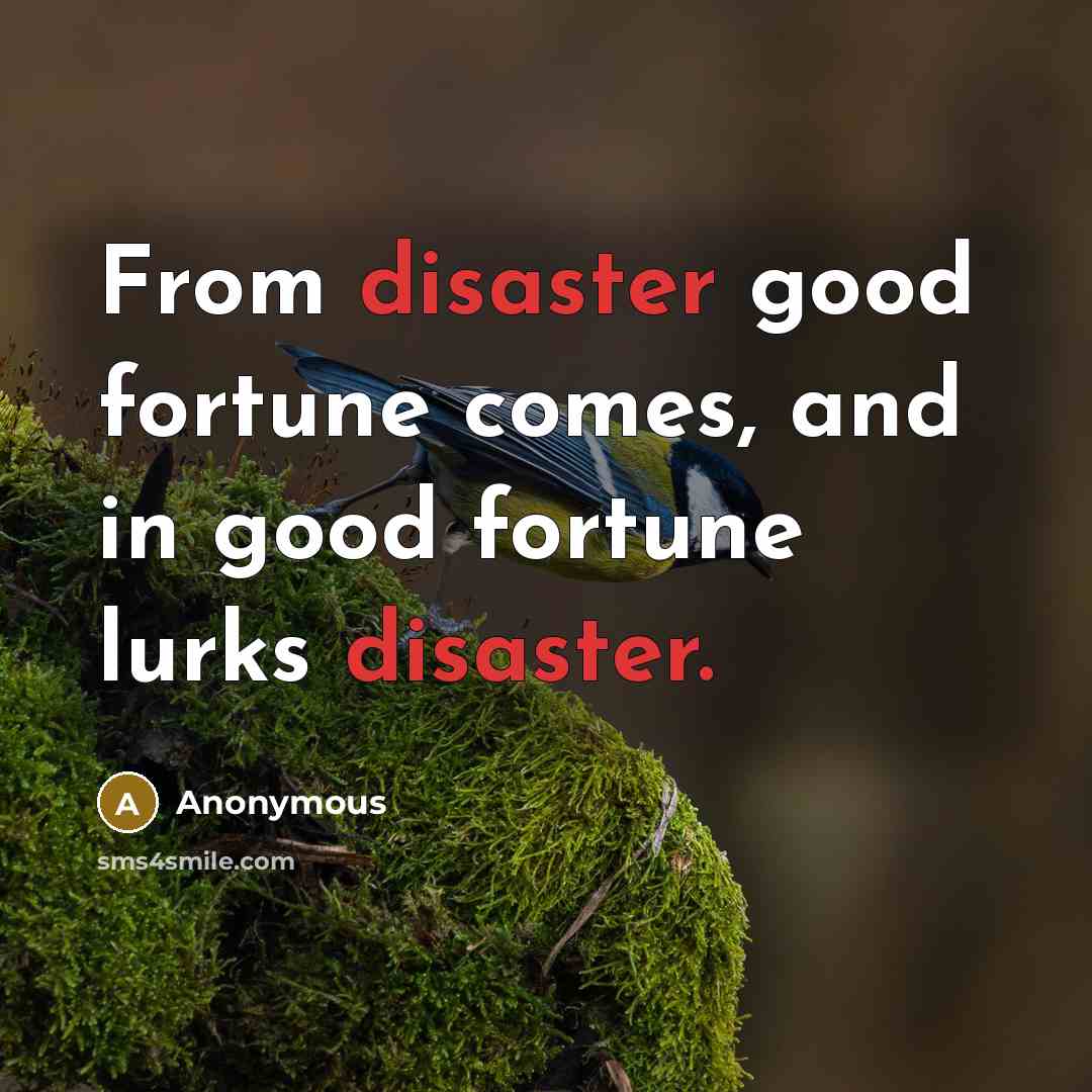 “From disaster good fortune comes, and in good fortune lurks…” quote by Anonymous