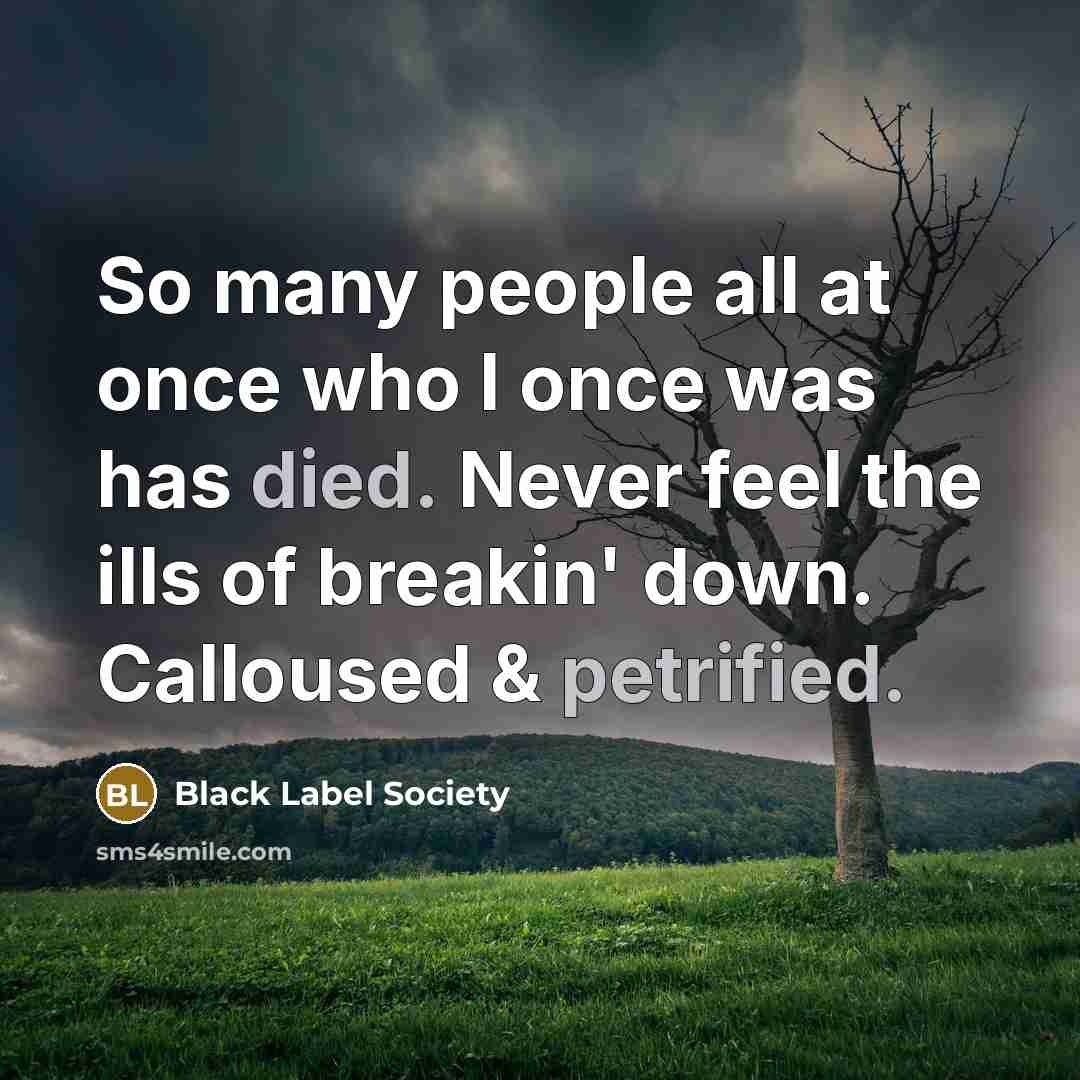 “So many people all at once who I once was has died. Never feel the ills of breakin' down. Calloused & petrified.” quote by Black Label Society