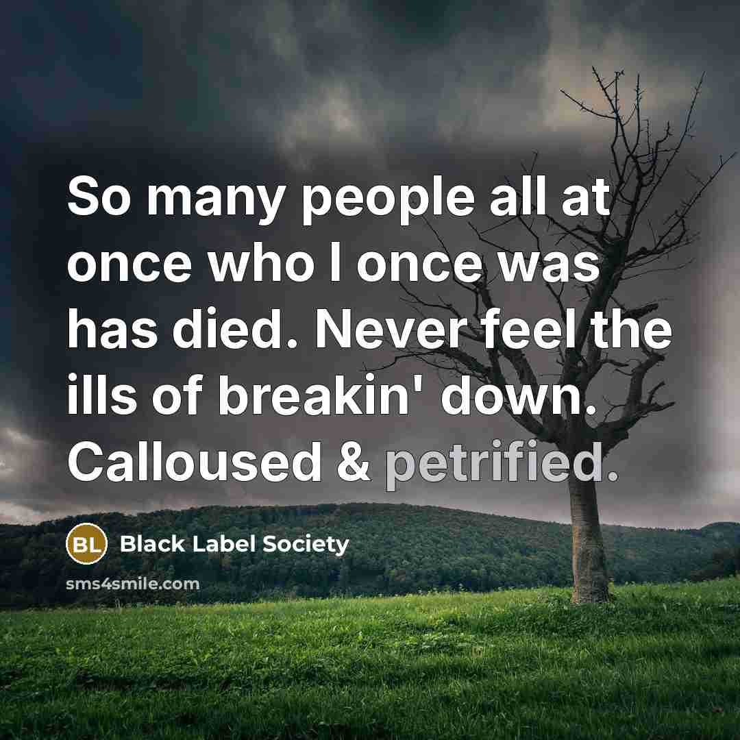 “So many people all at once who I once was…” quote by Black Label Society