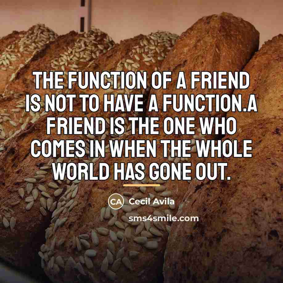 “The function of a friend is not to have a…” quote by Cecil Avila