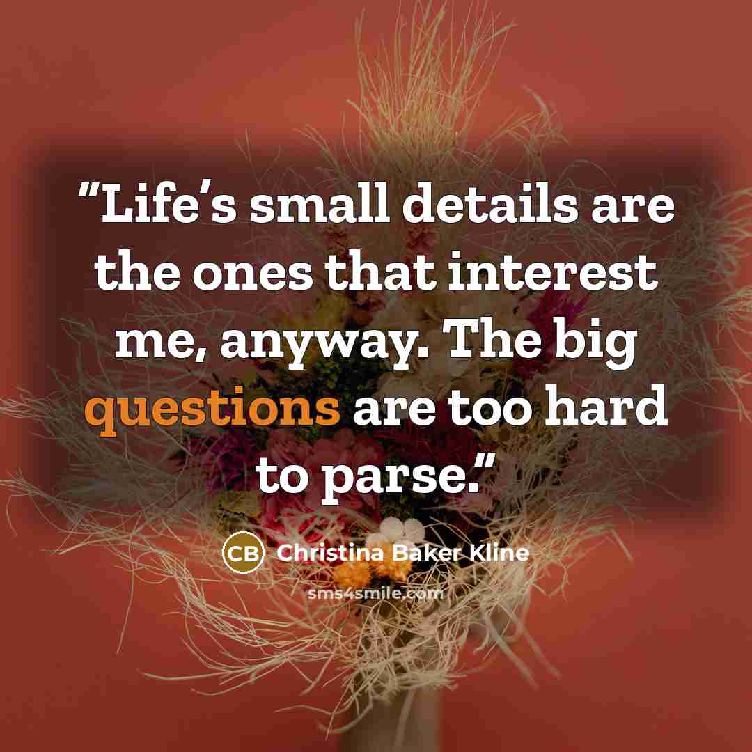 “Life’s small details are the ones that interest me, anyway. The big questions are too hard to parse.” quote by Christina Baker Kline