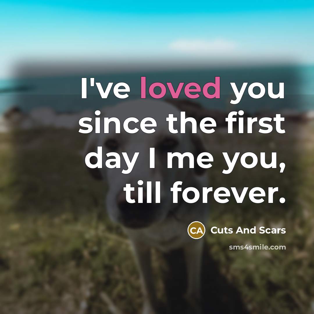 “I've loved you since the first day I me you,…” quote by Cuts And Scars