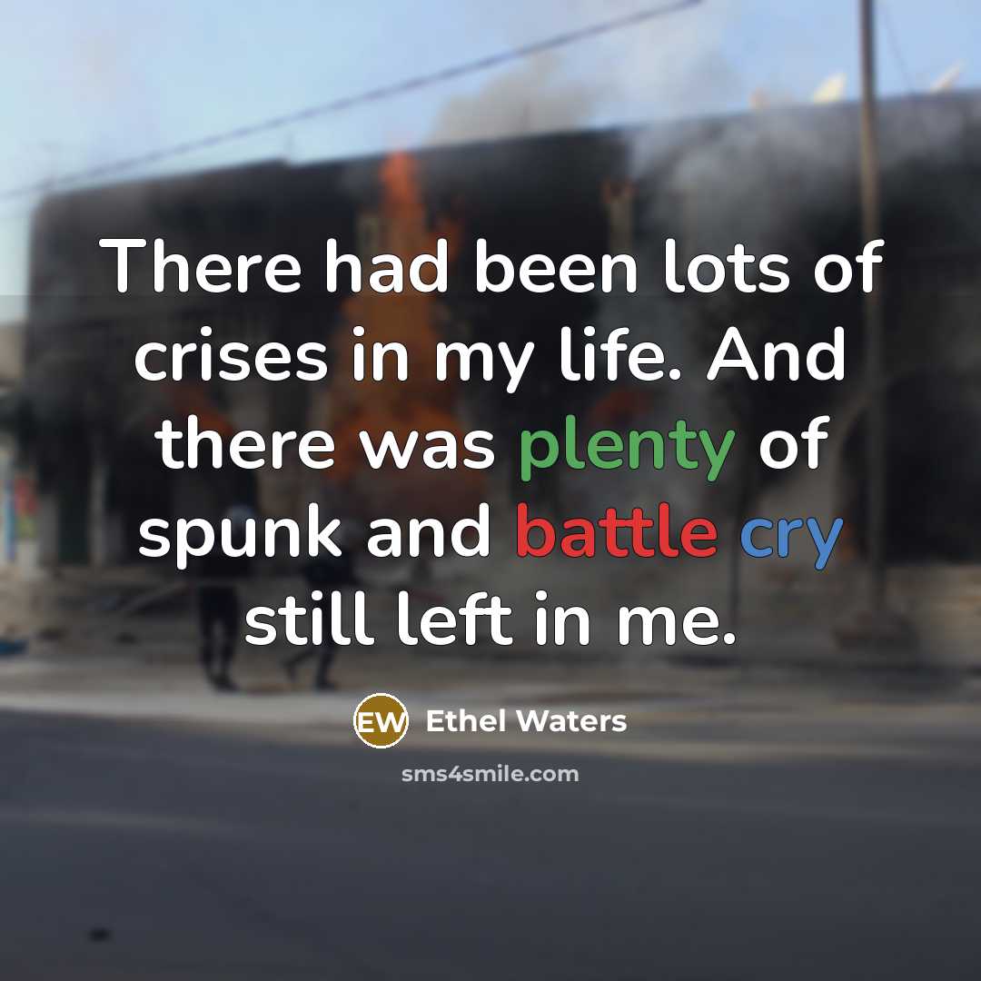 “There had been lots of crises in my life. And…” quote by Ethel Waters