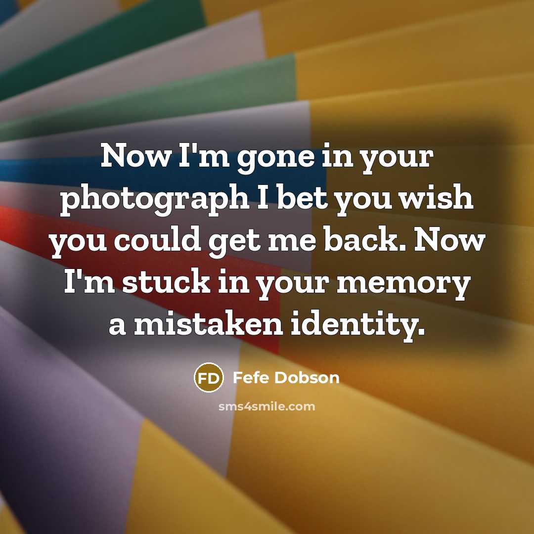 “Now I'm gone in your photograph I bet you wish…” quote by Fefe Dobson