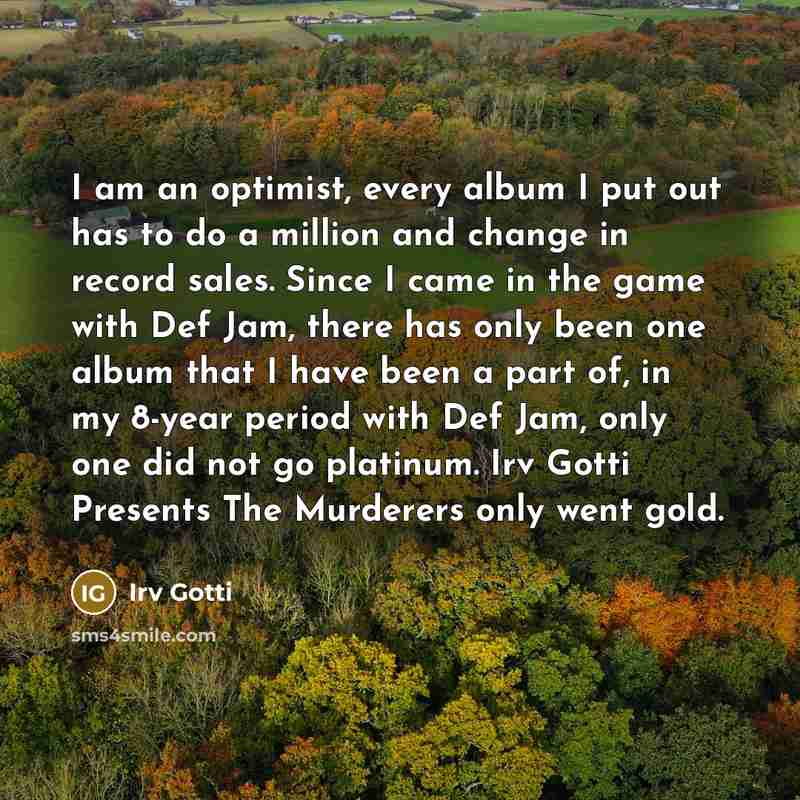 “I am an optimist, every album I put out has…” quote by Irv Gotti