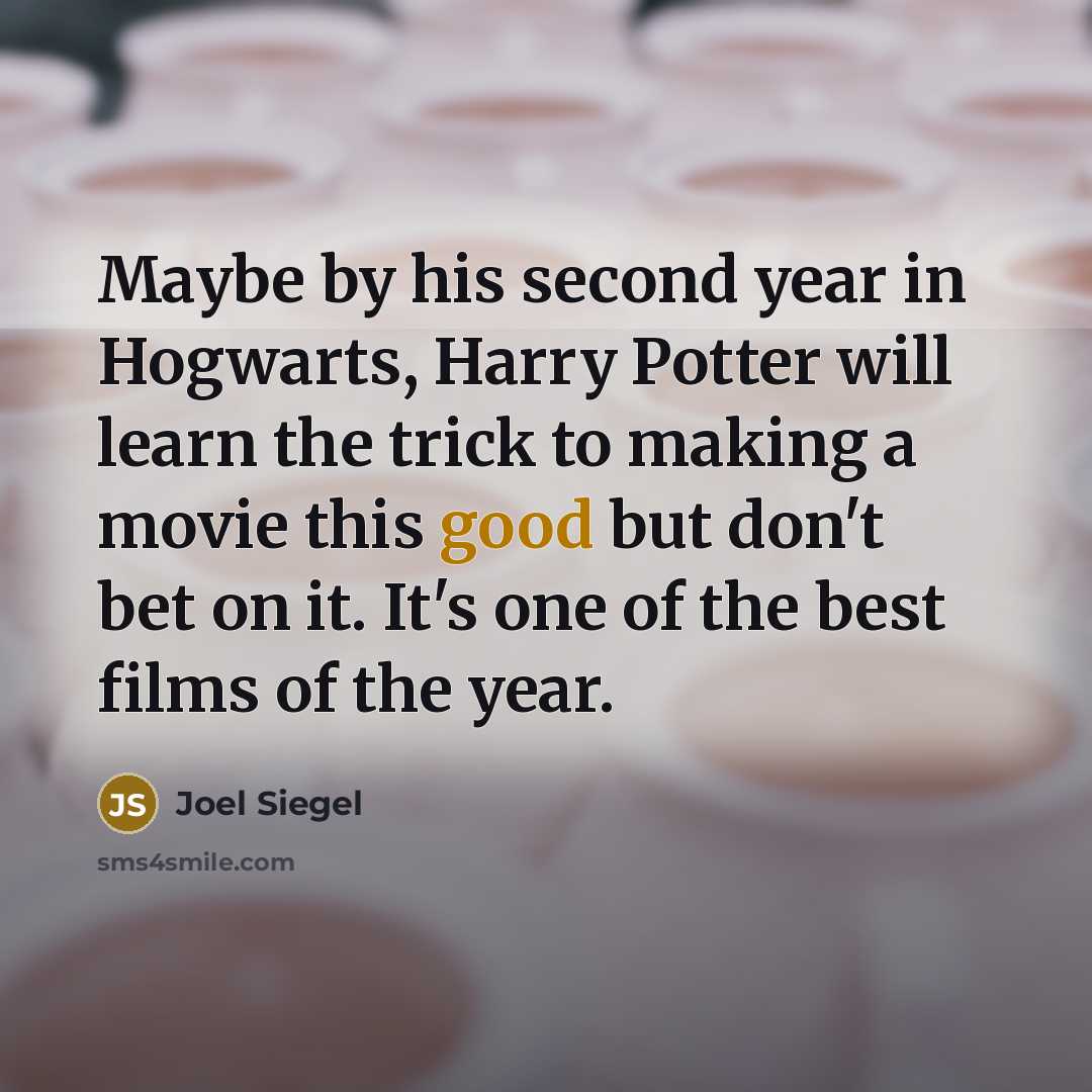 “Maybe by his second year in Hogwarts, Harry Potter will…” quote by Joel Siegel