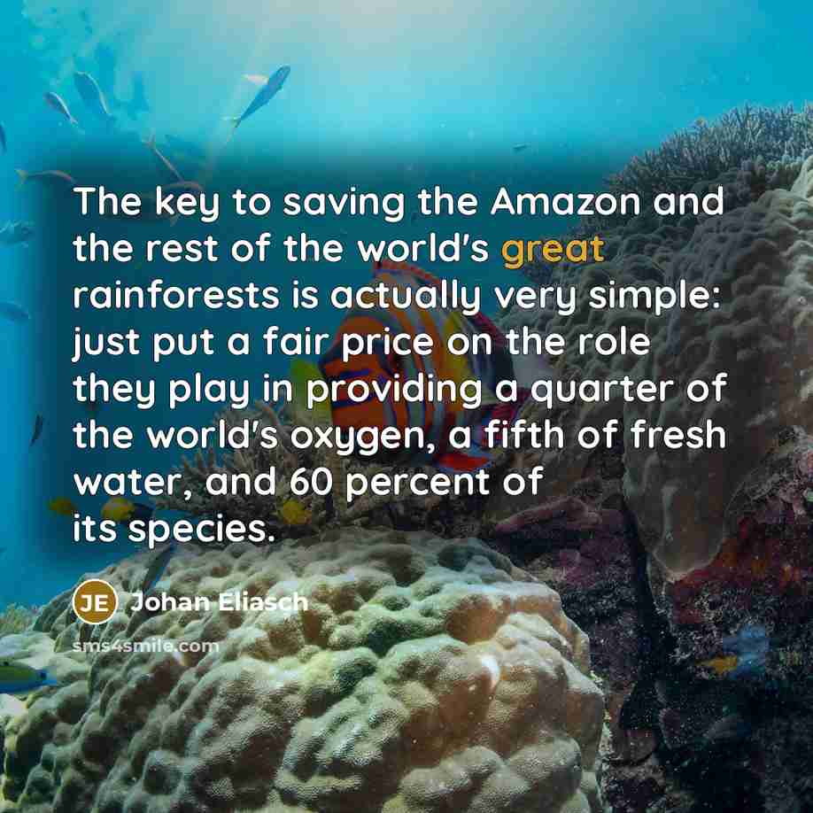 “The key to saving the Amazon and the rest of…” quote by Johan Eliasch