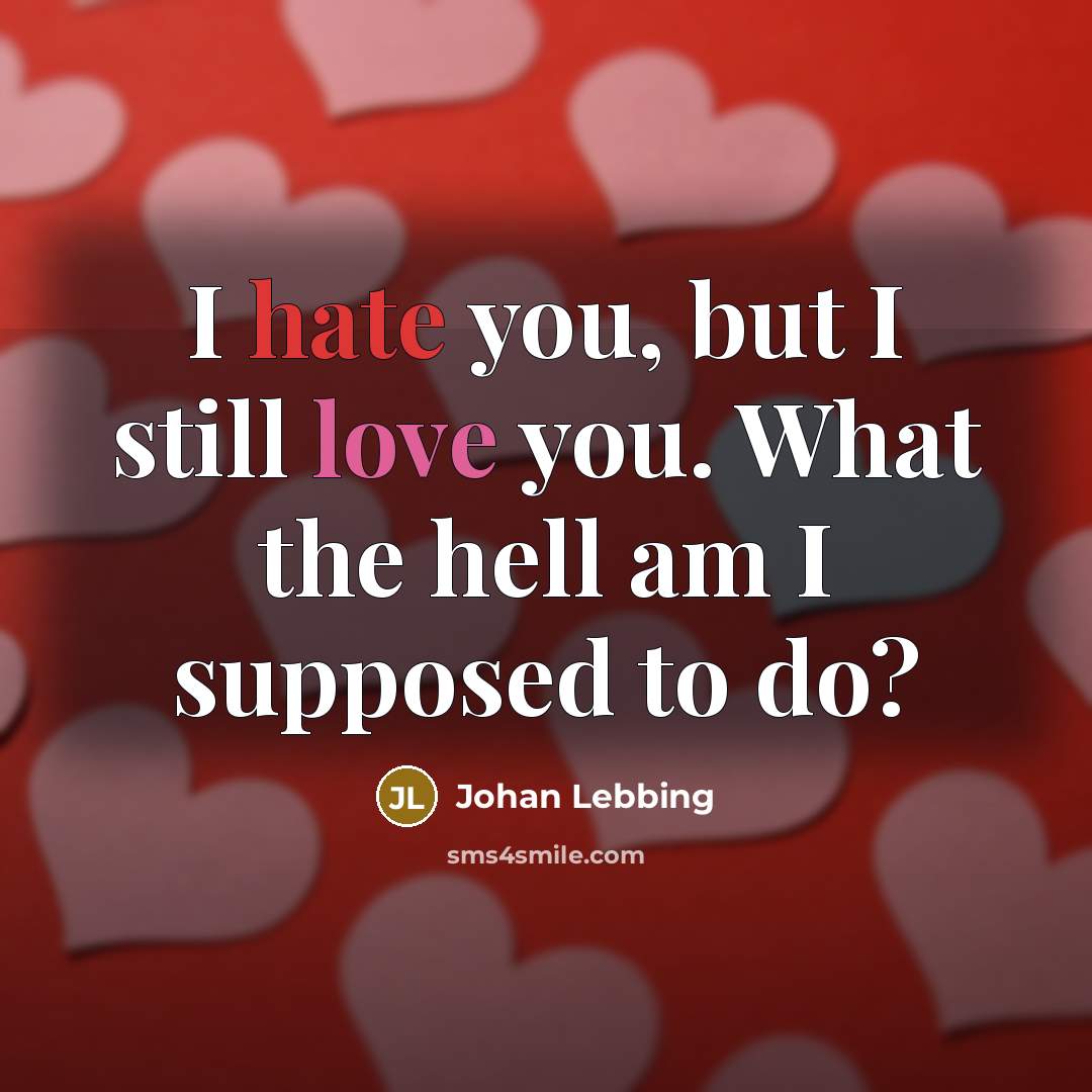 “I hate you, but I still love you. What the…” quote by Johan Lebbing