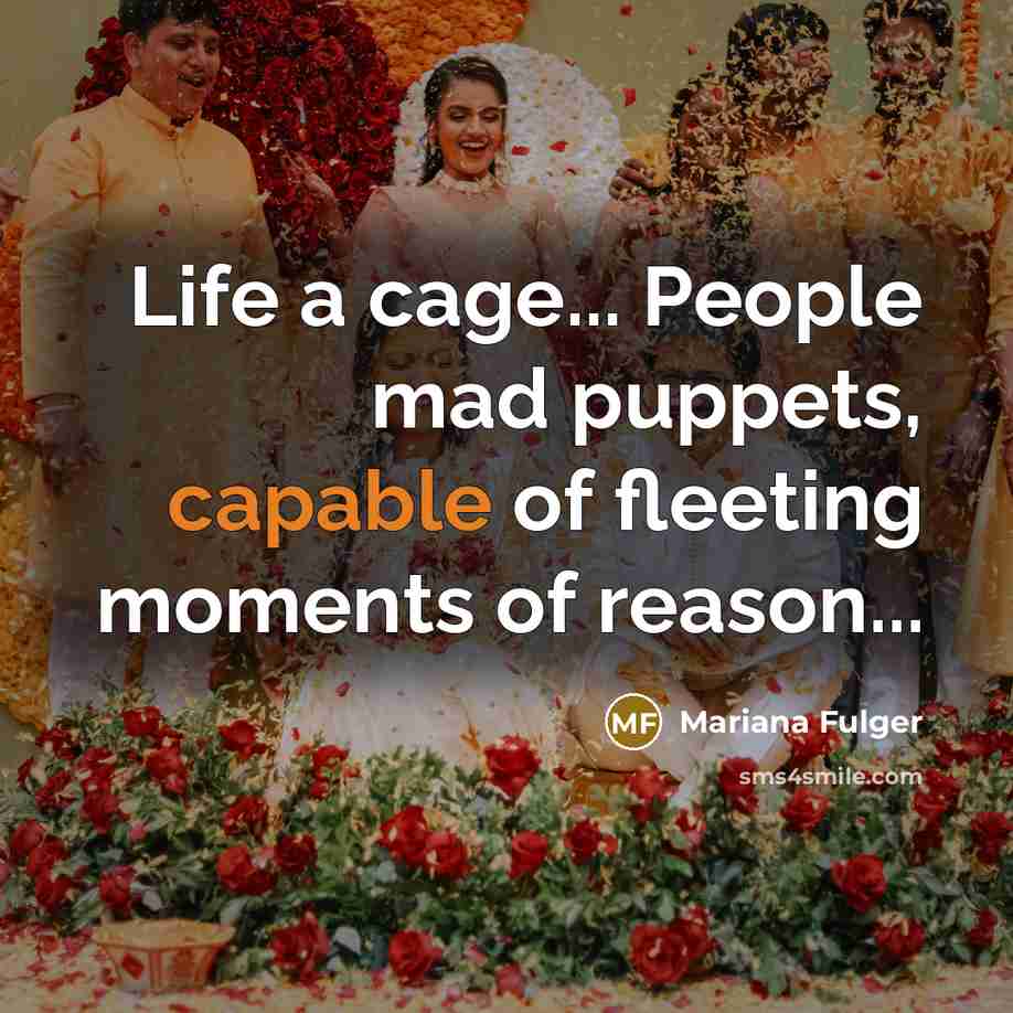 “Life a cage... People mad puppets, capable of fleeting moments…” quote by Mariana Fulger