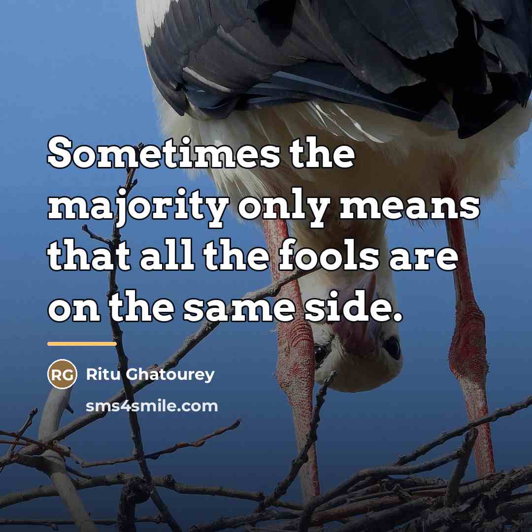 “Sometimes the majority only means that all the fools are…” quote by Ritu Ghatourey