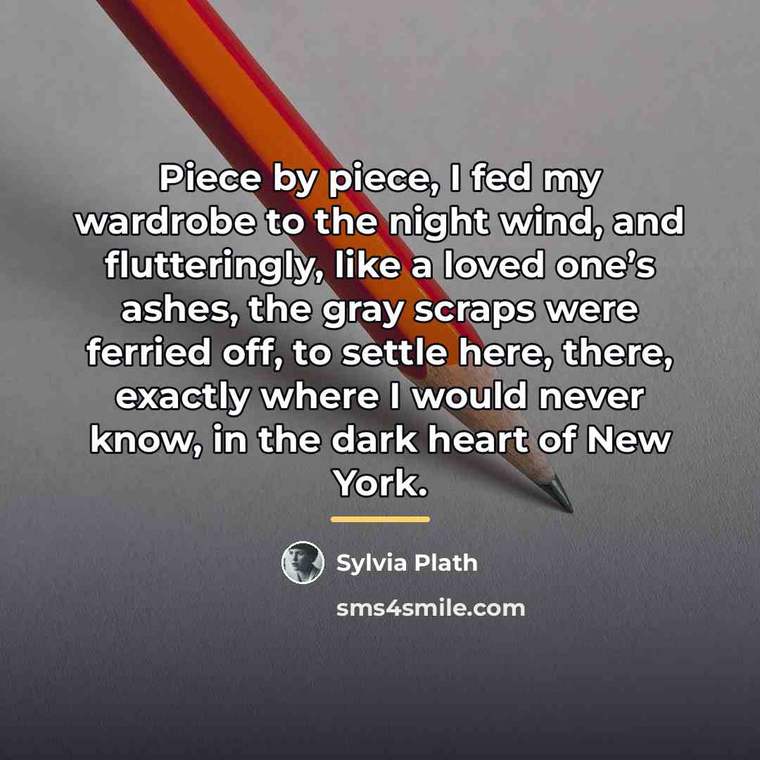 “Piece by piece, I fed my wardrobe to the night…” quote by Sylvia Plath