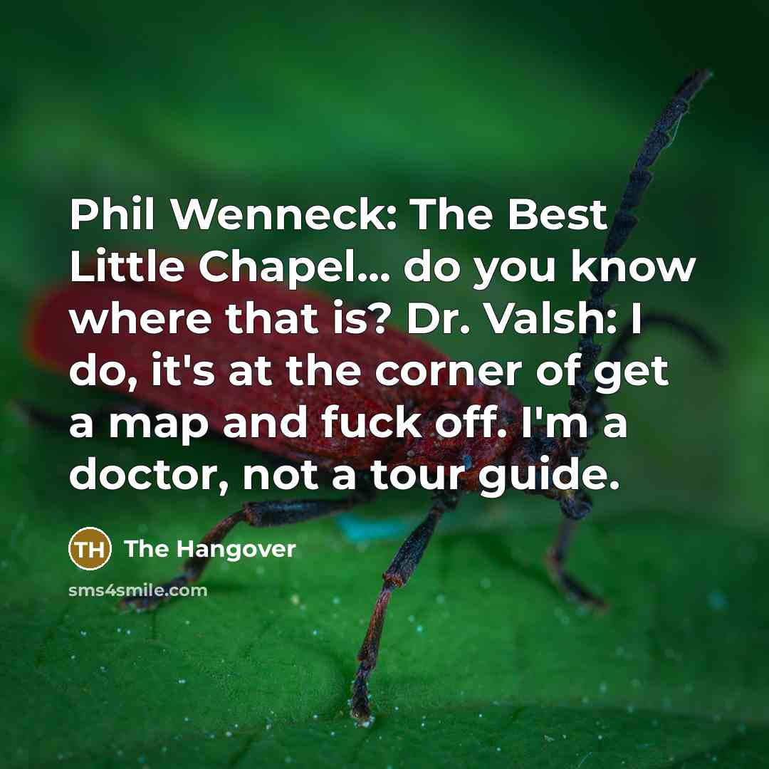 “Phil Wenneck: The Best Little Chapel... do you know where…” quote by The Hangover