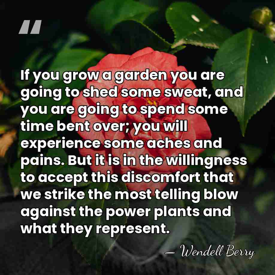 If you grow a garden you are going to shed some sweat,&hellip; - Wendell Berry