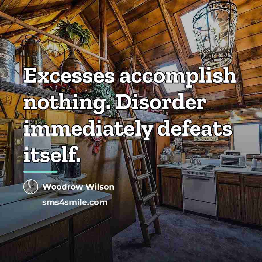 “Excesses accomplish nothing. Disorder immediately defeats itself.…” quote by Woodrow Wilson