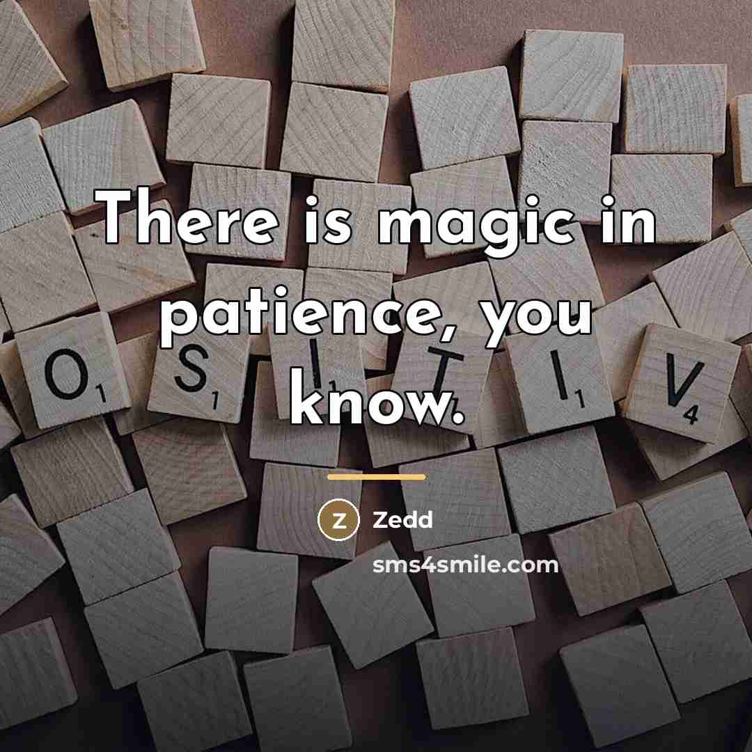 “There is magic in patience, you know.…” quote by Zedd