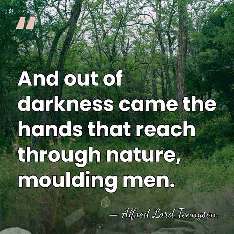 And out of darkness came the hands that reach through nature, moulding&hellip; - Alfred Lord Tennyson