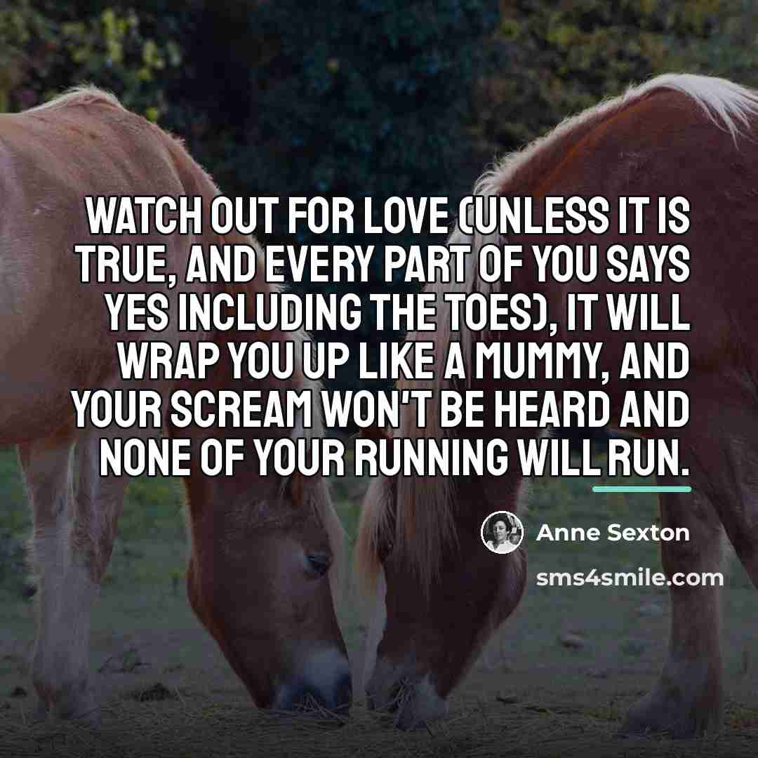 “Watch out for love (unless it is true, and every…” quote by Anne Sexton
