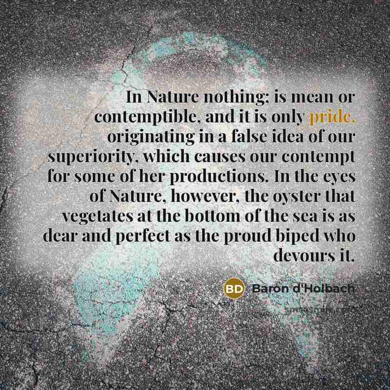 “In Nature nothing; is mean or contemptible, and it is…” quote by Baron d'Holbach