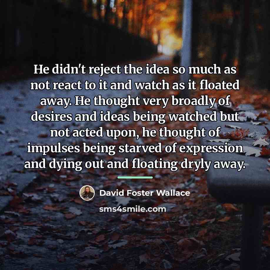 “He didn't reject the idea so much as not react…” quote by David Foster Wallace