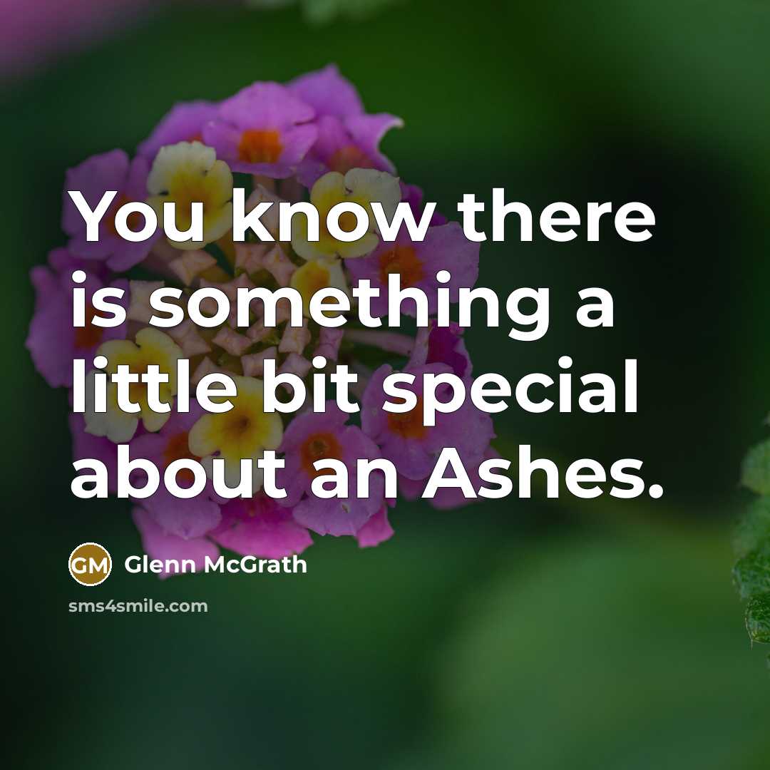 “You know there is something a little bit special about…” quote by Glenn McGrath