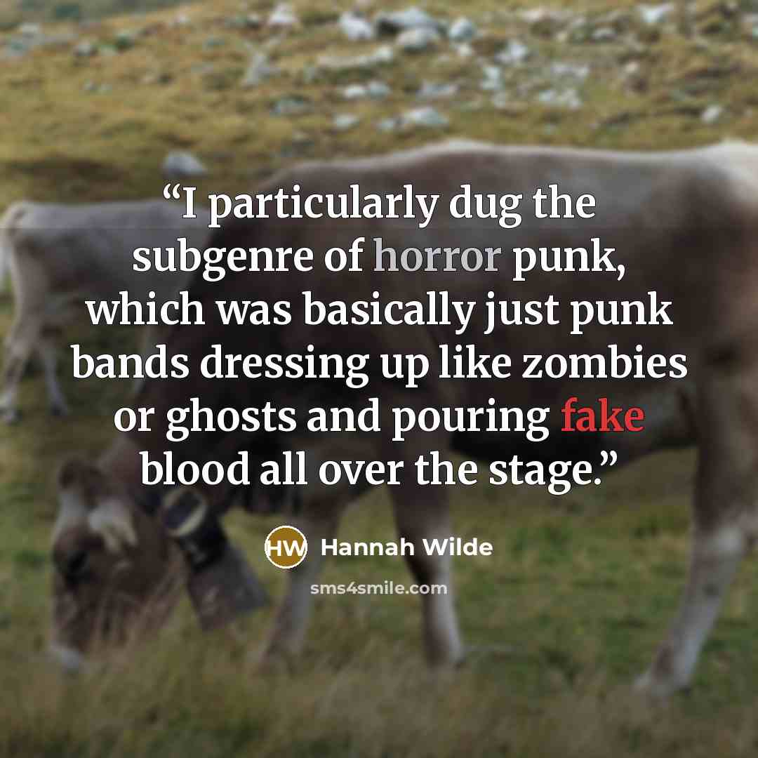 “I particularly dug the subgenre of horror punk, which was basically just punk bands dressing up like zombies or ghosts and pouring fake blood all over the stage.” quote by Hannah Wilde