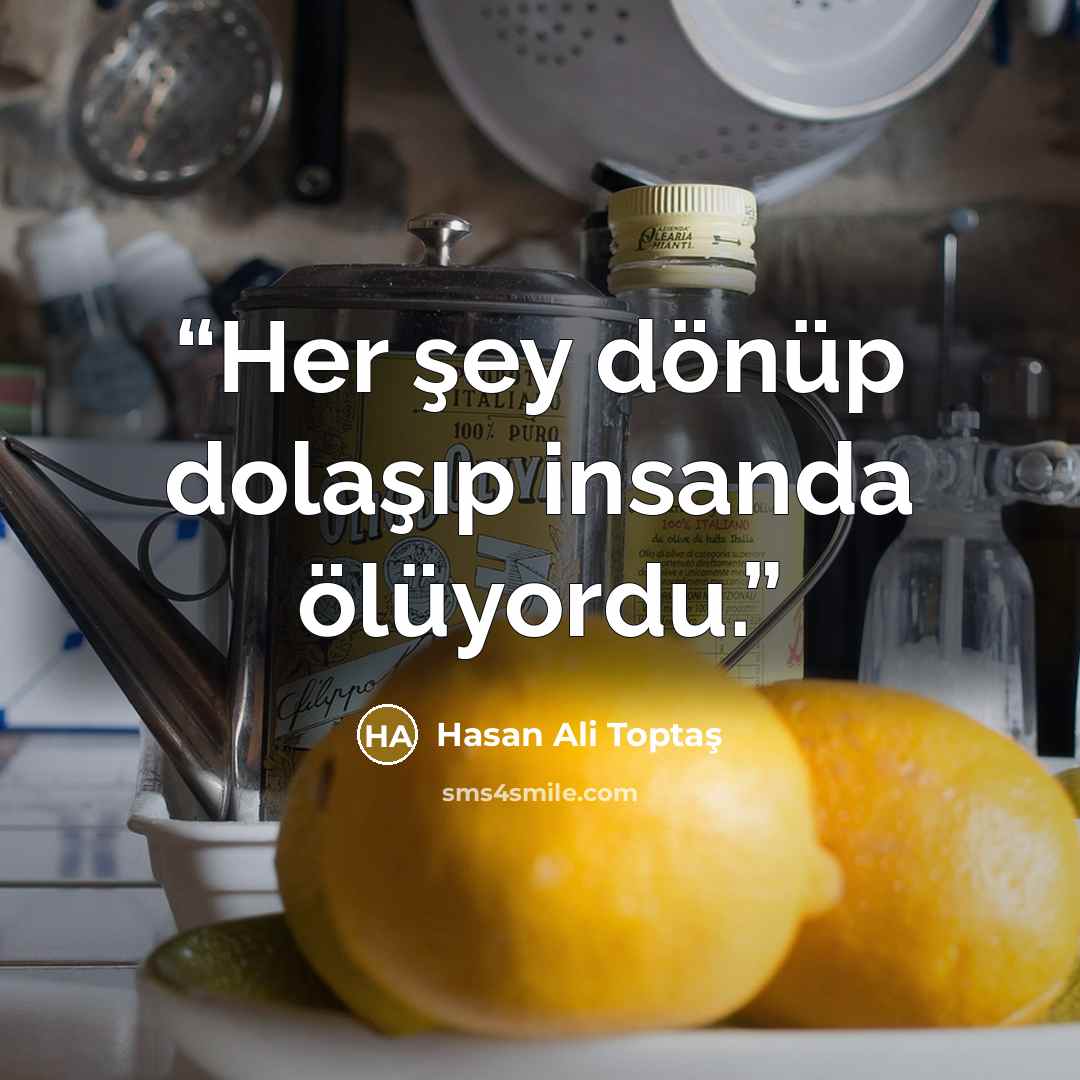 “Her şey dönüp dolaşıp insanda ölüyordu.” quote by Hasan Ali Toptaş