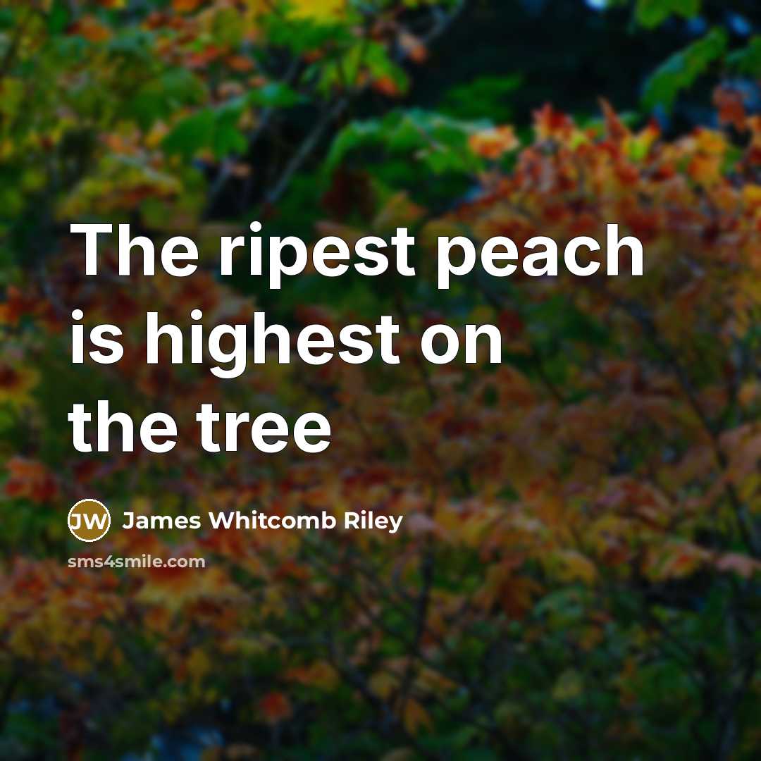 “The ripest peach is highest on the tree…” quote by James Whitcomb Riley