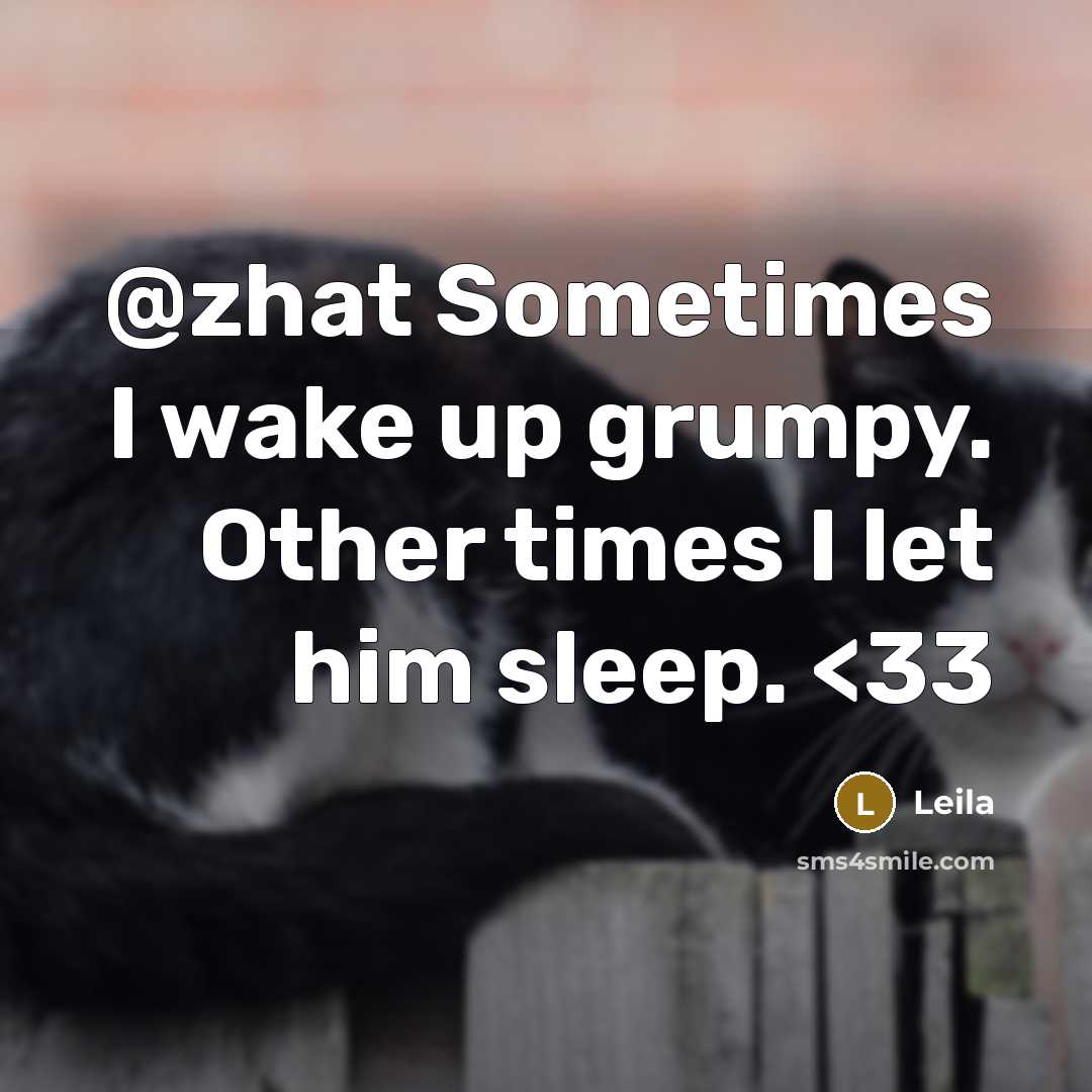 “@zhat Sometimes I wake up grumpy. Other times I let him sleep.” quote by Leila