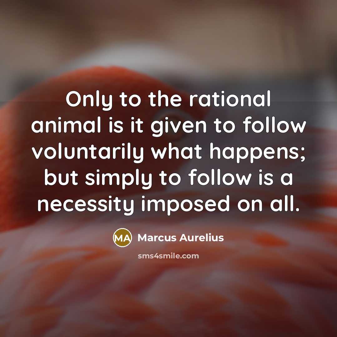 “Only to the rational animal is it given to follow…” quote by Marcus Aurelius