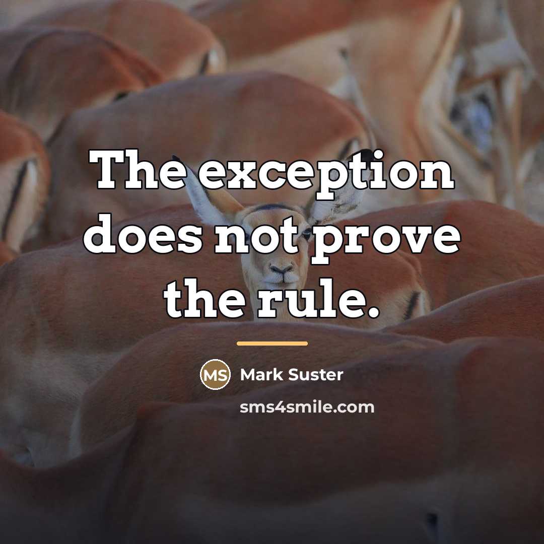 “The exception does not prove the rule.…” quote by Mark Suster