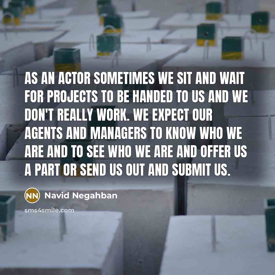 “As an actor sometimes we sit and wait for projects…” quote by Navid Negahban